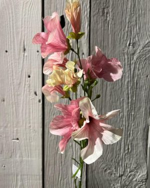 Petunia Rosa 90 cm