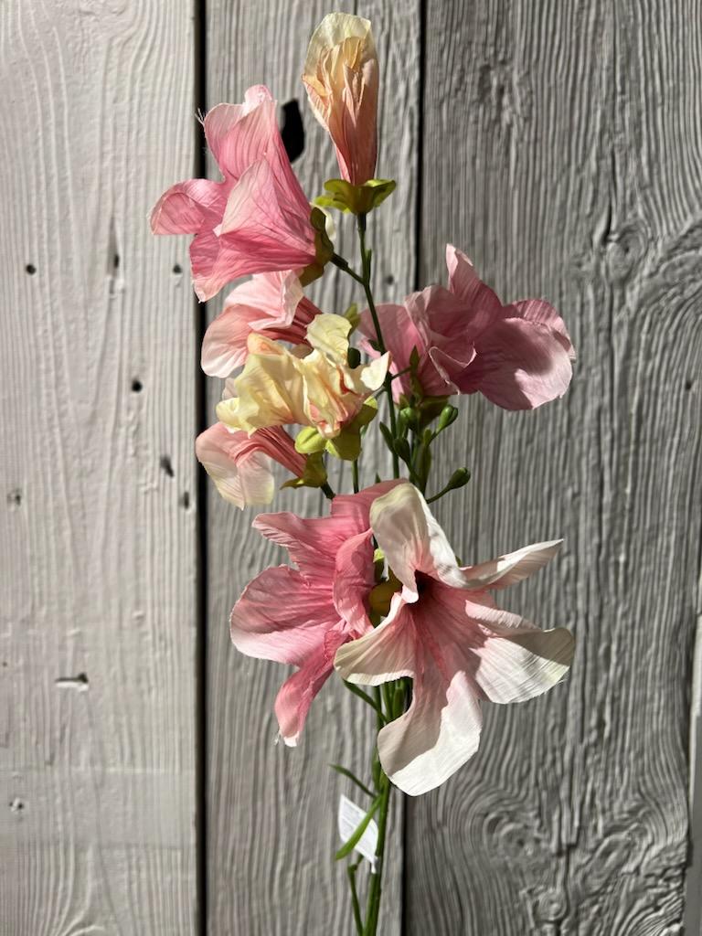 Petunia Rosa 90 cm