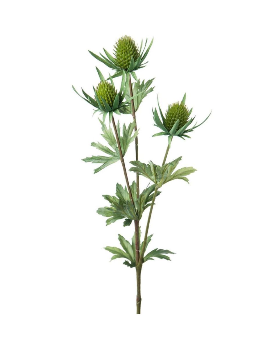 Tistel 60 cm