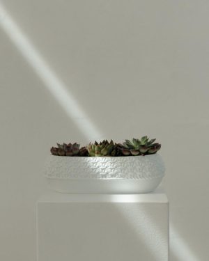 Knit container