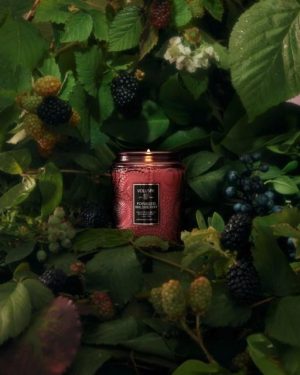 Small Jar Candle 50 t Foraged Wildberry