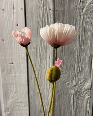 Valmue Rosa 75 cm