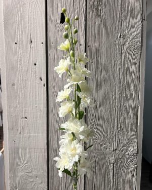 Delphinium Hvit 90 cm