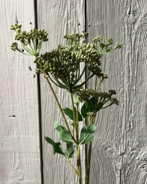 Angelica 90 cm