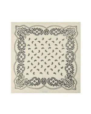 Adelina Paisley Knit Scarf Off White