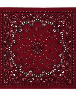 FPWL - Large Paisley Scarf Bordaux