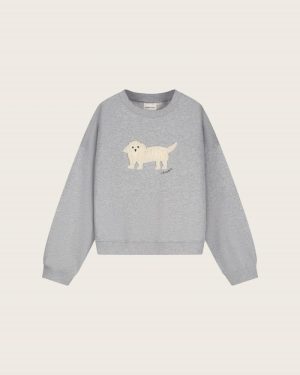 Amy Puppy Sweater Grey Melange