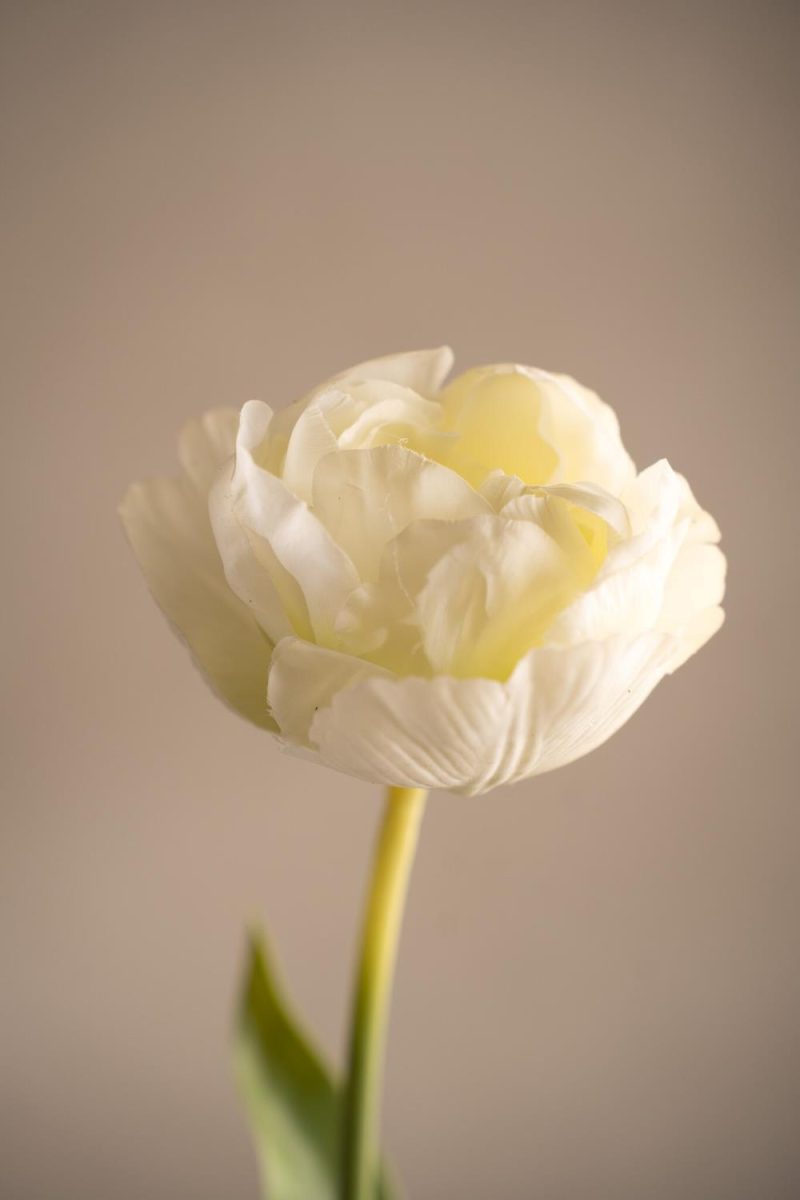 Kunstig Hvit Tulipan 36 cm