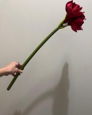 Kunstig rød amaryllis, 60 cm