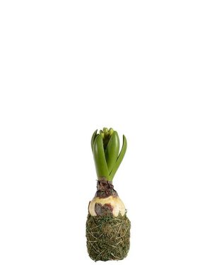 Kunstig grønn hyasint med mose, 20 cm