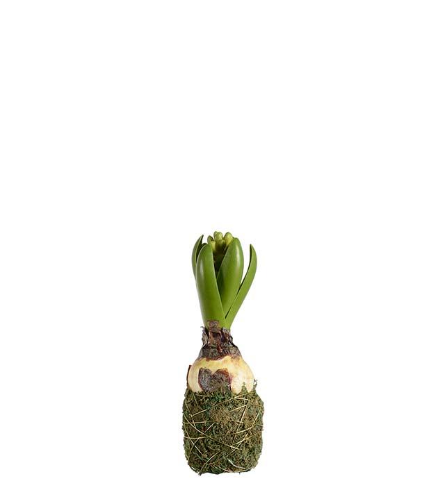 Kunstig grønn hyasint med mose, 20 cm