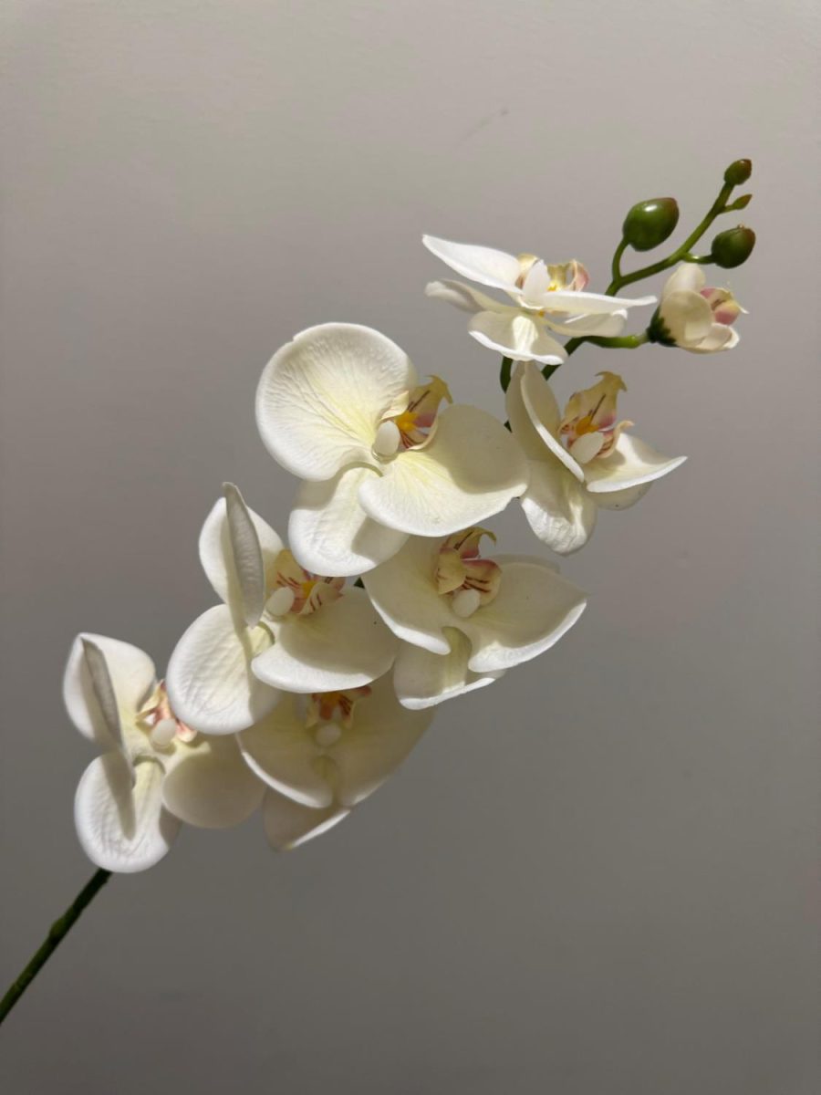 Kunstig hvit Phalaenopsis 75 cm