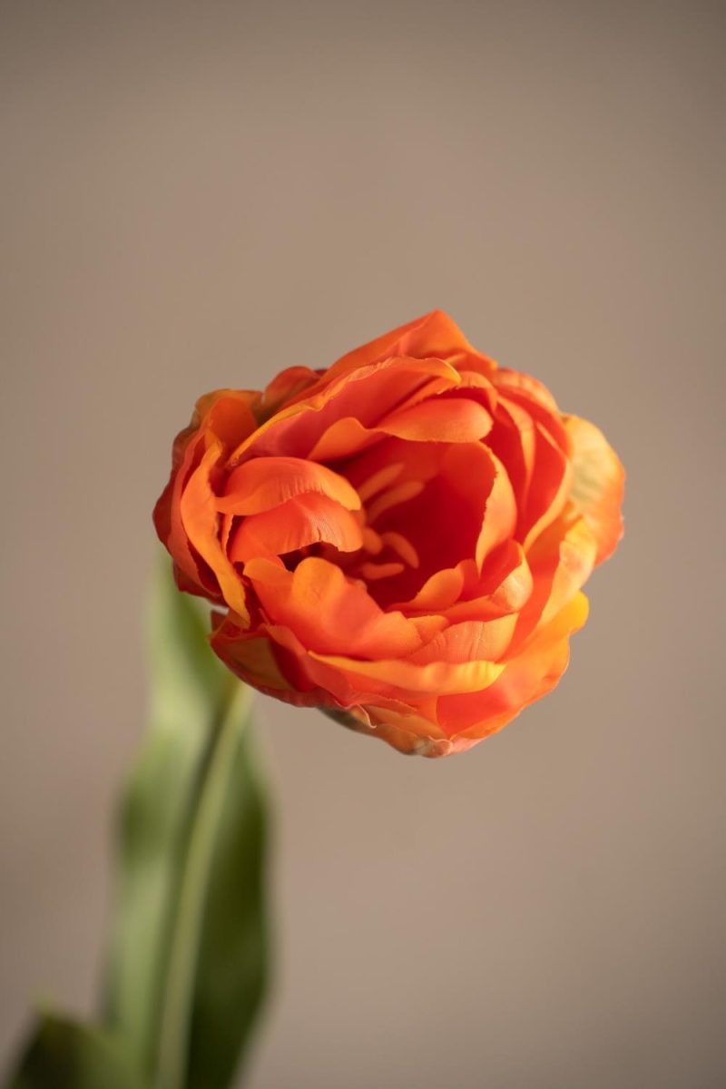 Kunstig Hvit Tulipan 36 cm