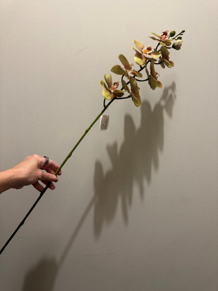 Kunstig grønn Phalaenopsis 75 cm