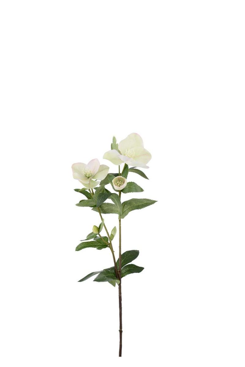 Kunstig grønn/Hvit julerose, 63 cm